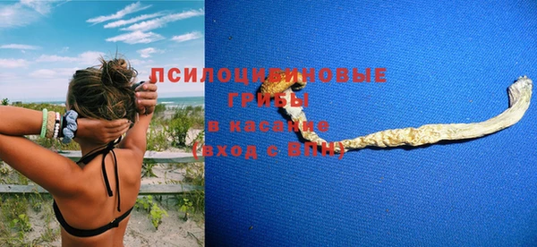 герыч Дмитров