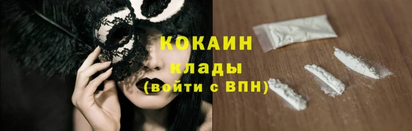 индика Нязепетровск