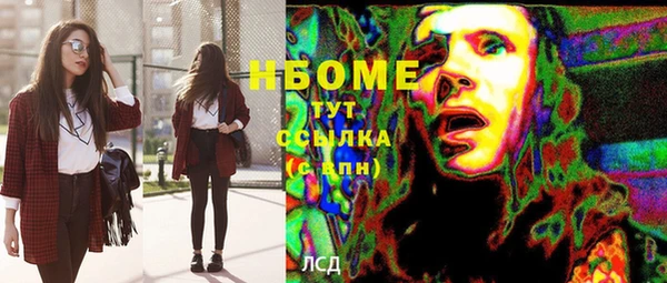 индика Нязепетровск