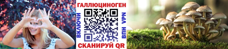 где продают   Сегежа  Псилоцибиновые грибы прущие грибы 